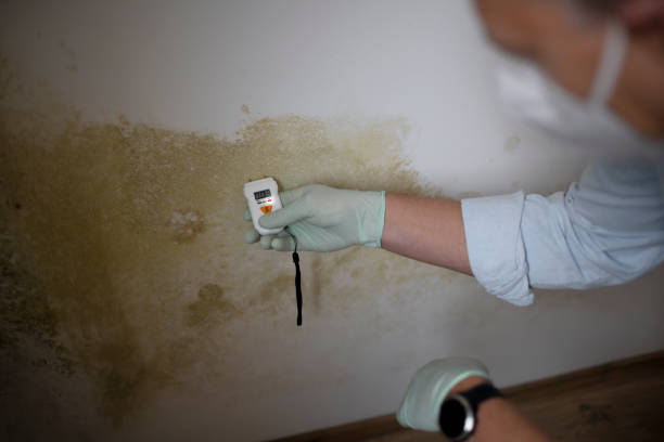 Best Mold Cleaning Services  in La Cygne, KS