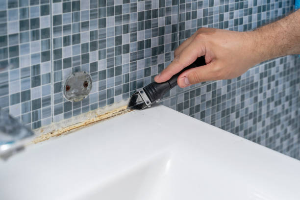 Certified Mold Removal in La Cygne, KS