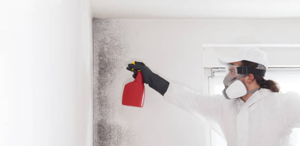 Best Emergency Mold Removal  in La Cygne, KS