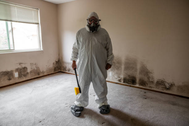 Best Certified Mold Removal  in La Cygne, KS